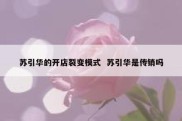 苏引华的开店裂变模式  苏引华是传销吗