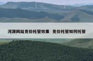 河源网站竞价托管效果  竞价托管如何托管