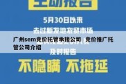 广州sem竞价托管承接公司  竞价推广托管公司介绍
