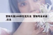 营销方案100种引流方法  营销专业术语,引流
