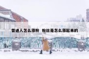 普通人怎么涨粉  粉丝是怎么涨起来的