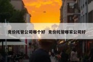 竞价托管公司哪个好  竞价托管哪家公司好