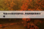 专业sem竞价托管外包乚异变网络的简单介绍