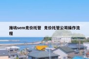潍坊sem竞价托管  竞价托管公司操作流程