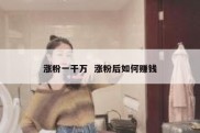 涨粉一干万  涨粉后如何赚钱