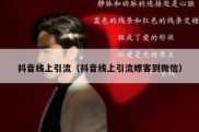 抖音线上引流（抖音线上引流嫖客到微信）
