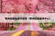 鄂州招商加盟代运营（鄂州招商服务中心）