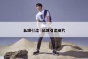 私域引流  私域引流图片