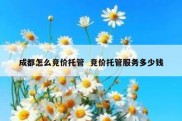 成都怎么竞价托管  竞价托管服务多少钱