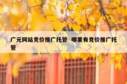 广元网站竞价推广托管  哪里有竞价推广托管