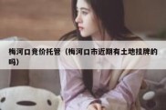 梅河口竞价托管（梅河口市近期有土地挂牌的吗）