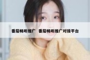 番茄畅听推广  番茄畅听推广对接平台