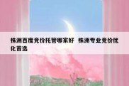 株洲百度竞价托管哪家好  株洲专业竞价优化首选