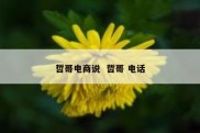 哲哥电商说  哲哥 电话