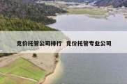竞价托管公司排行  竞价托管专业公司
