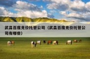 武昌百度竞价托管公司（武昌百度竞价托管公司有哪些）