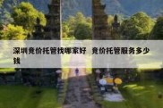深圳竞价托管找哪家好  竞价托管服务多少钱