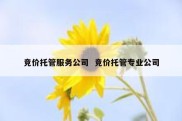 竞价托管服务公司  竞价托管专业公司