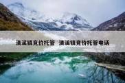 清溪镇竞价托管  清溪镇竞价托管电话