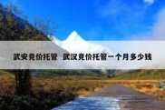 武安竞价托管  武汉竞价托管一个月多少钱