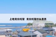 上地竞价托管  竞价托管什么意思