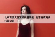 北京百度竞价营销托管功能  北京百度竞价托管公司