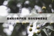 禹城竞价账户托管  竞价托管哪家便宜