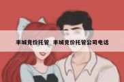 丰城竞价托管  丰城竞价托管公司电话