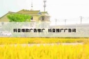 抖音爆款广告推广  抖音推广广告词