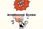 魏大帅西安竞价托管  魏大帅是谁