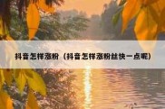 抖音怎样涨粉（抖音怎样涨粉丝快一点呢）
