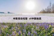 中新竞价托管  st中新拍卖