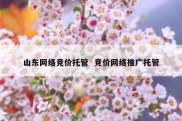 山东网络竞价托管  竞价网络推广托管