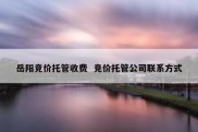 岳阳竞价托管收费  竞价托管公司联系方式