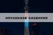 如何引流到私域流量  私域流量如何变现