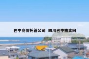 巴中竞价托管公司  四川巴中拍卖网