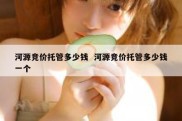 河源竞价托管多少钱  河源竞价托管多少钱一个