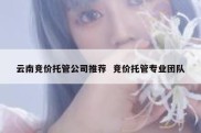云南竞价托管公司推荐  竞价托管专业团队