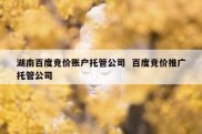 湖南百度竞价账户托管公司  百度竞价推广托管公司