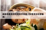 湖南百度竞价托管软件官网（百度竞价托管服务）