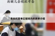 竞价托管来亿驱动力的简单介绍