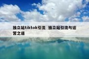 独立站tiktok引流  独立站引流与运营之道