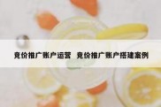 竞价推广账户运营  竞价推广账户搭建案例