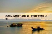 苏州sem竞价托管培训  竞价托管优化公司
