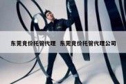 东莞竞价托管代理  东莞竞价托管代理公司