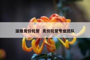 溢推竞价托管  竞价托管专业团队
