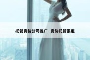 托管竞价公司推广  竞价托管渠道