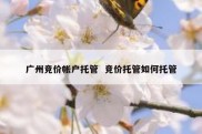 广州竞价帐户托管  竞价托管如何托管