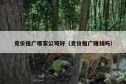竞价推广哪家公司好（竞价推广赚钱吗）