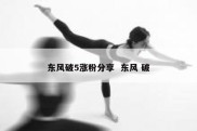 东风破5涨粉分享  东风 破